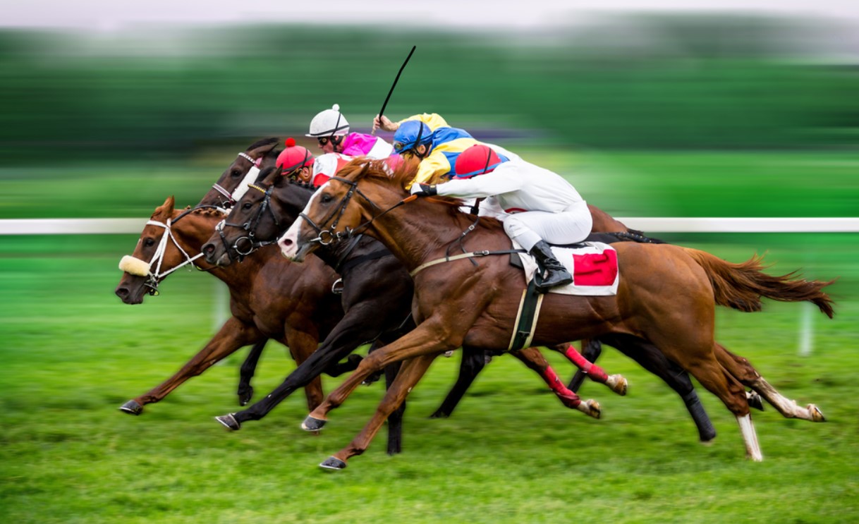 Horse Racing Betting at Betwhale Sportsbook 1