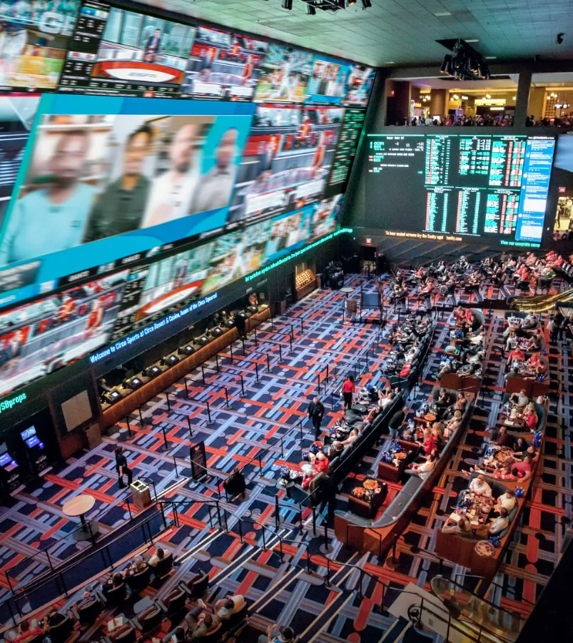 Sports Betting in Minnesota 2024 Guide 1