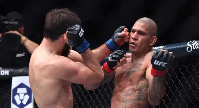 UFC 