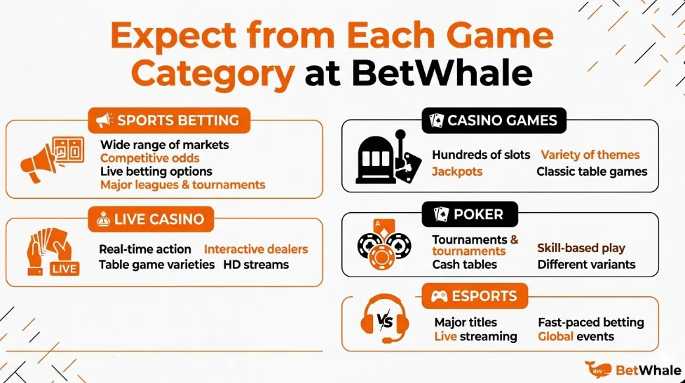 Expect from Each Game Category