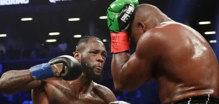 Boxers – The definitive guide to boxing stars & betting in 2026 1