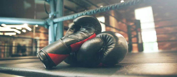 Boxers – The definitive guide to boxing stars & betting in 2026 2